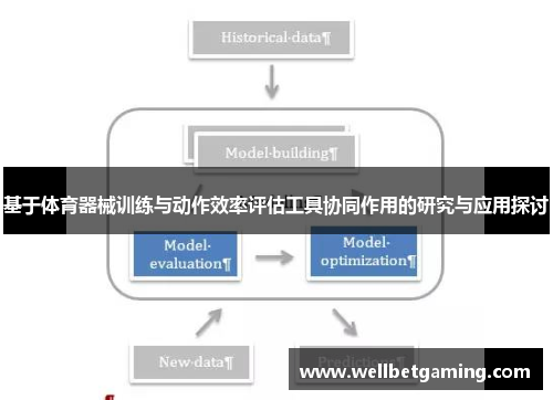 基于体育器械训练与动作效率评估工具协同作用的研究与应用探讨